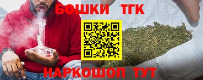 индика Пушкино