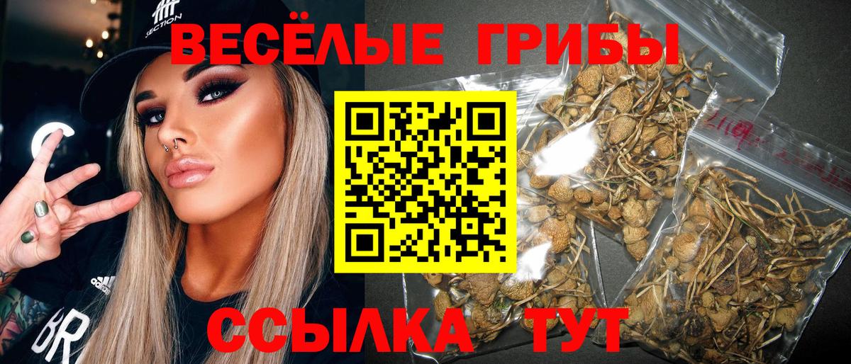Похвистнево  Галлюциногенные грибы MAGIC MUSHROOMS  Вход с VPN 
